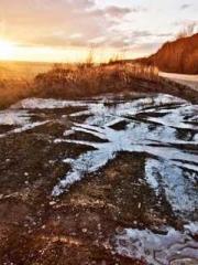 Wine, sex, money and