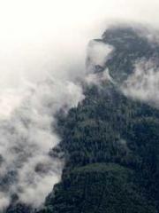 lt;Liang Yimo Cold N