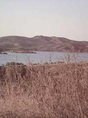 One Night of Indulge