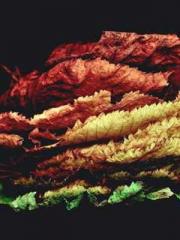 lt;lt;Know Green, Do