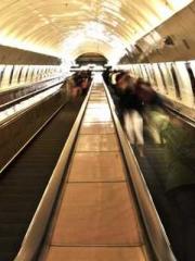 I Picked Up a Cultiv