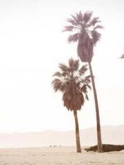 lt;lt; The Divine Do