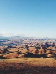 My Sweet Wife: The C