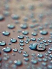 lt;lt;All in, my dec