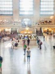 King of Nine Profoun