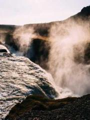 Two Treasures Arrive