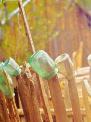 lt;Marry at first si