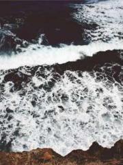 Dangerously Close to