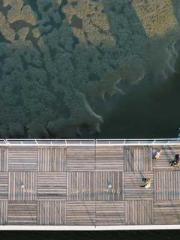 lt;Mr. Bao, Mrs. Bao