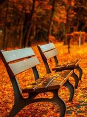 A Lifetime of Captiv