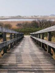 Unbound by any rules