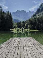 One Night Marriage P