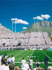 Bones-Eating Marriag