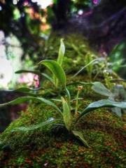 On our wedding night