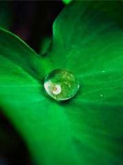 Unbound by any rules