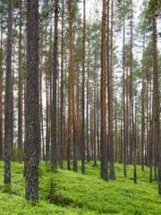 lt;Mr. Bao, Mrs. Bao