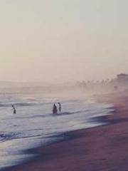 lt;Mr. Bao, Mrs. Bao