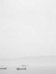 Two Treasures Arrive