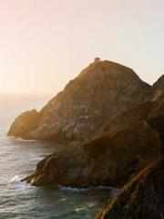 The Return of the Go