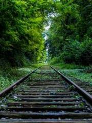 Rebirth as a Court A