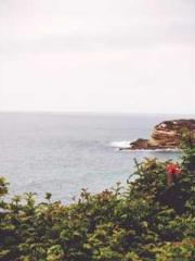 I Picked Up a Cultiv