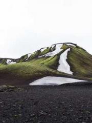 Mr. Shen, overdue an