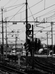 The Generalapos;s Hu