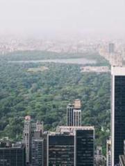 Cold-hearted Inkapos