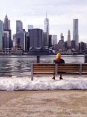 I Picked Up a Cultiv