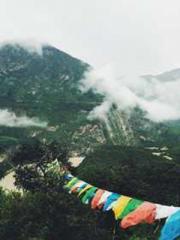 My Sweet Wife: The C